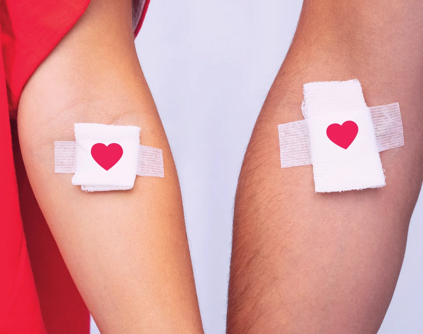 Two forearms with plasters after a blood sample was taken