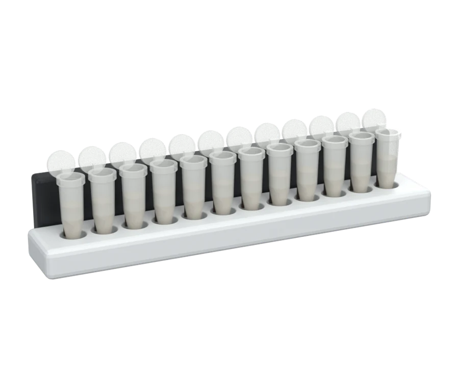 Twelve tubes on a magnetic bead stand